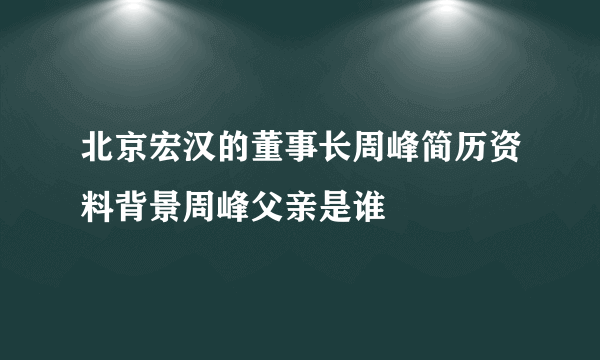 北京宏汉的董事长周峰简历资料背景周峰父亲是谁