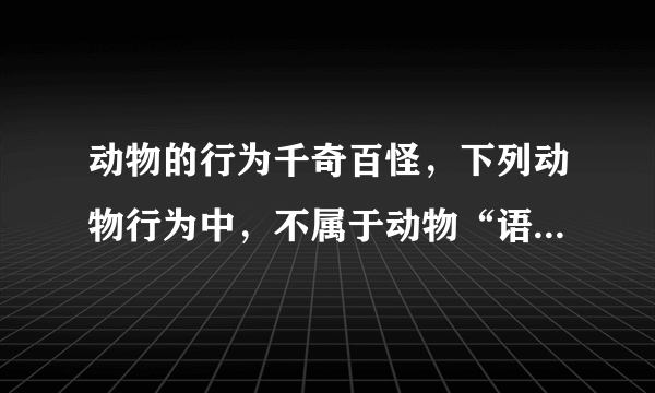 动物的行为千奇百怪，下列动物行为中，不属于动物“语言”的是（　　）A．蚊叮咬人B．雌蛾释放性外激素C