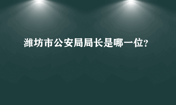 潍坊市公安局局长是哪一位？