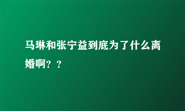 马琳和张宁益到底为了什么离婚啊？？