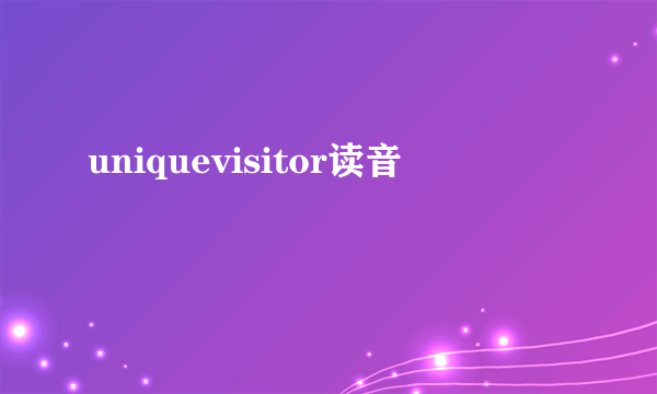 uniquevisitor读音