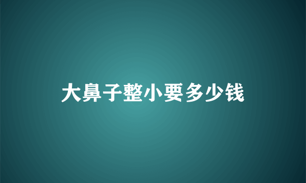 大鼻子整小要多少钱