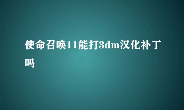 使命召唤11能打3dm汉化补丁吗