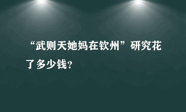 “武则天她妈在钦州”研究花了多少钱？