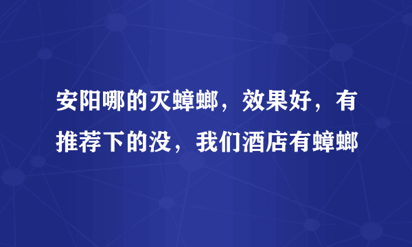 安阳哪的灭蟑螂，效果好，有推荐下的没，我们酒店有蟑螂