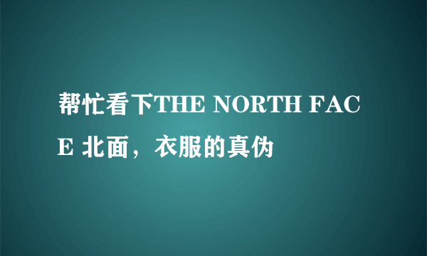 帮忙看下THE NORTH FACE 北面，衣服的真伪