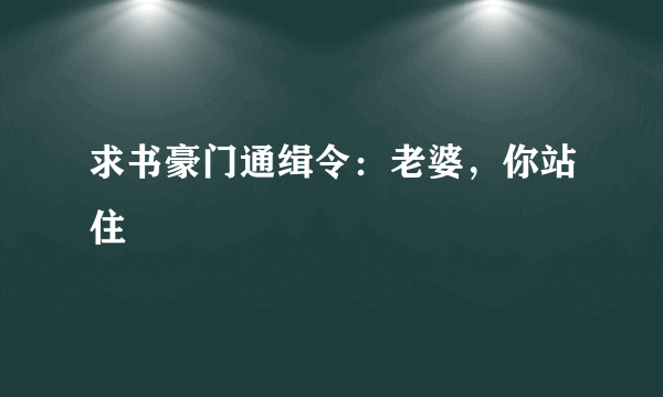 求书豪门通缉令：老婆，你站住