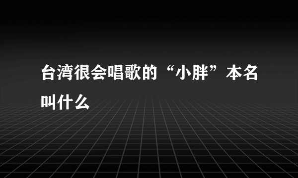 台湾很会唱歌的“小胖”本名叫什么