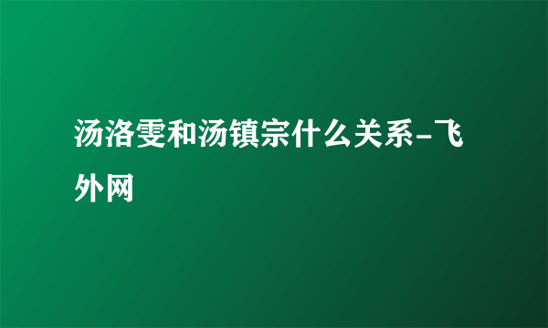 汤洛雯和汤镇宗什么关系-飞外网