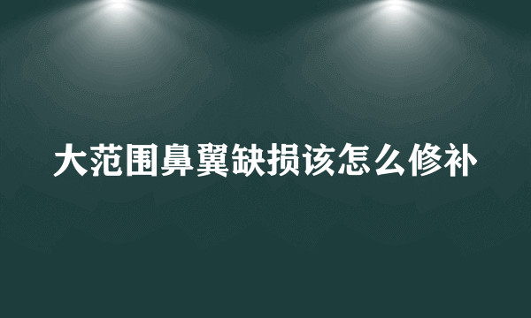 大范围鼻翼缺损该怎么修补