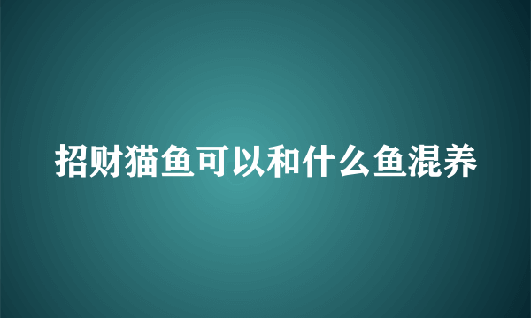 招财猫鱼可以和什么鱼混养