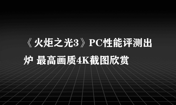 《火炬之光3》PC性能评测出炉 最高画质4K截图欣赏