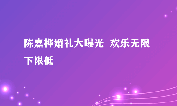 陈嘉桦婚礼大曝光  欢乐无限下限低