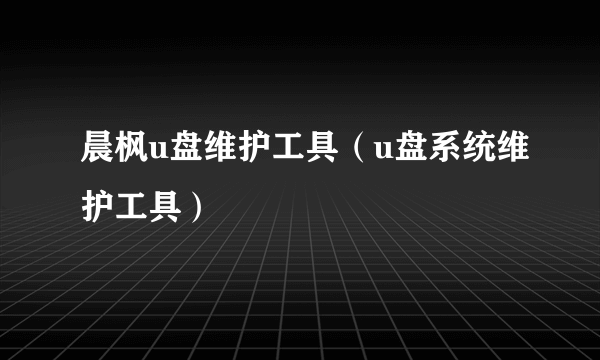 晨枫u盘维护工具（u盘系统维护工具）