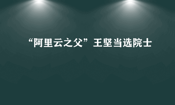 “阿里云之父”王坚当选院士