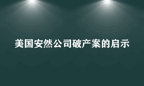 美国安然公司破产案的启示