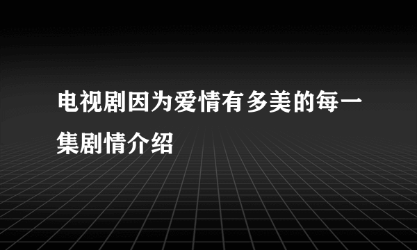 电视剧因为爱情有多美的每一集剧情介绍