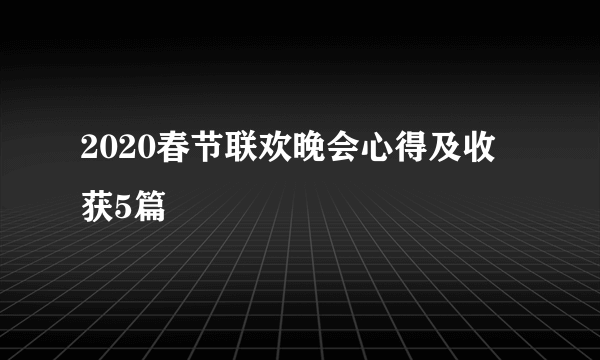 2020春节联欢晚会心得及收获5篇