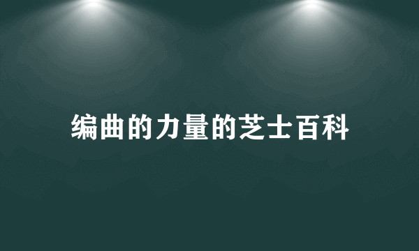 编曲的力量的芝士百科