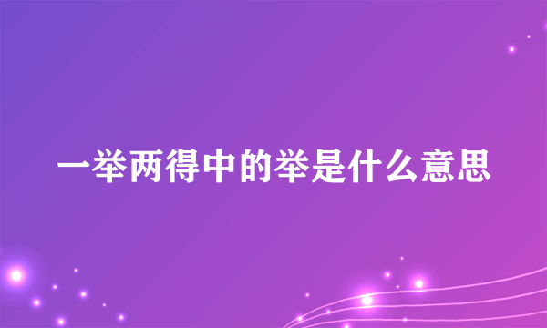 一举两得中的举是什么意思