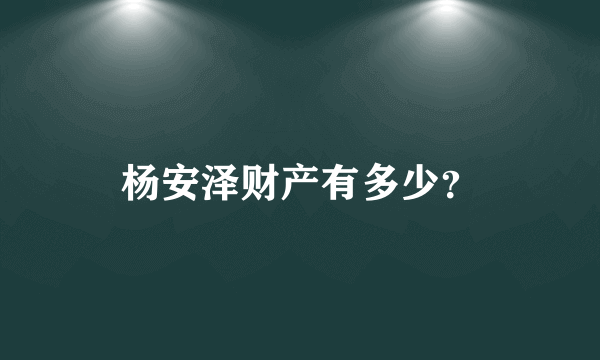 杨安泽财产有多少？