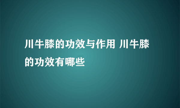 川牛膝的功效与作用 川牛膝的功效有哪些