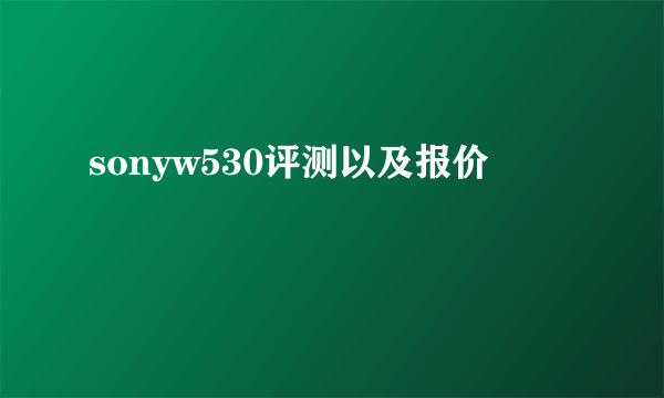 sonyw530评测以及报价