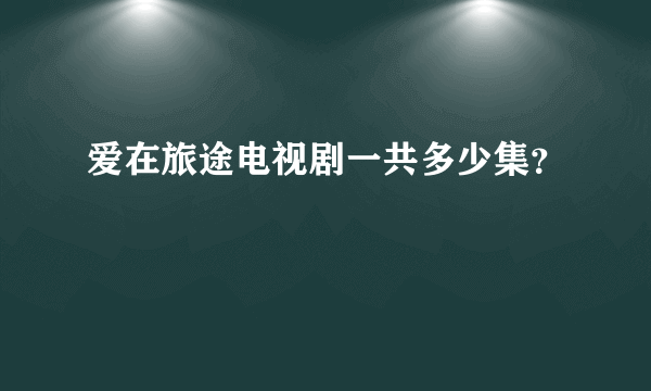 爱在旅途电视剧一共多少集？