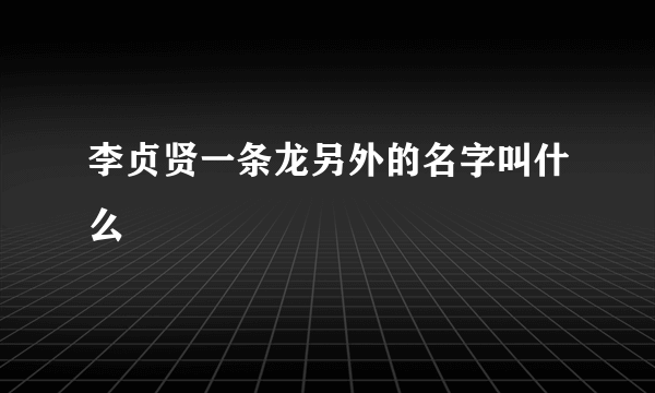 李贞贤一条龙另外的名字叫什么