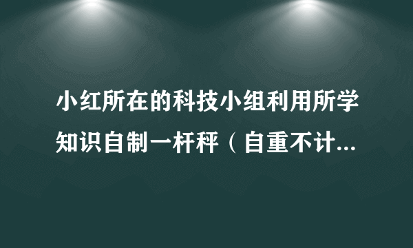 小红所在的科技小组利用所学知识自制一杆秤（自重不计），其照片如图所示．秤砣的质量m0为1kg，根据照片估算此杆秤最大测量