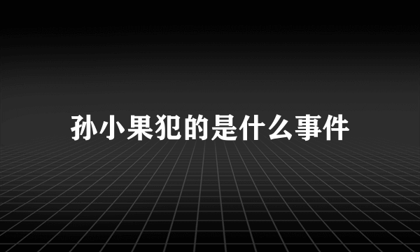 孙小果犯的是什么事件