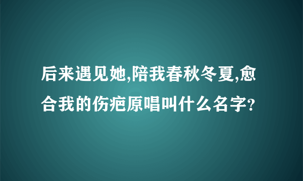 后来遇见她,陪我春秋冬夏,愈合我的伤疤原唱叫什么名字？