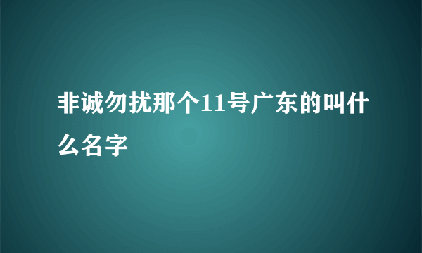 非诚勿扰那个11号广东的叫什么名字