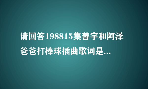 请回答198815集善宇和阿泽爸爸打棒球插曲歌词是“  野兽，你让我心花怒放，你让一切变得如此完美