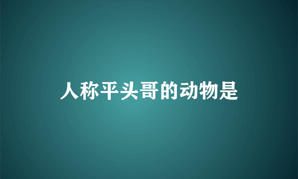 人称平头哥的动物是