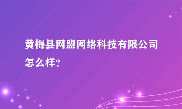 黄梅县网盟网络科技有限公司怎么样？