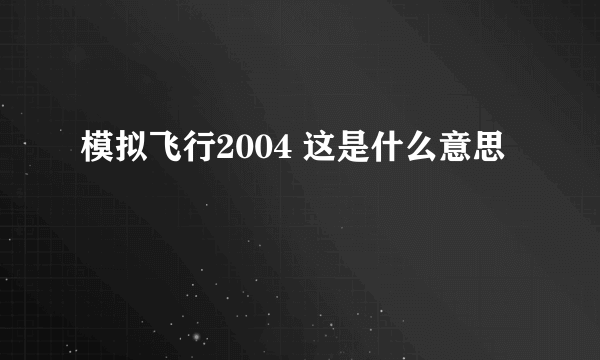 模拟飞行2004 这是什么意思