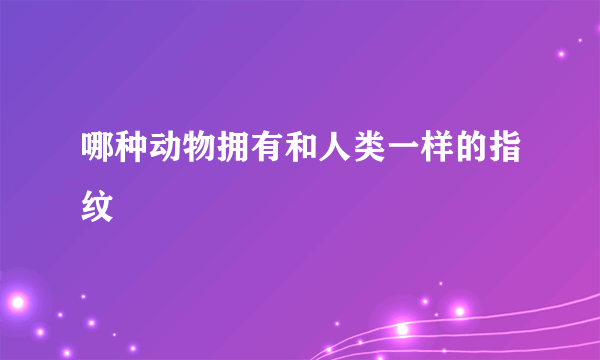 哪种动物拥有和人类一样的指纹