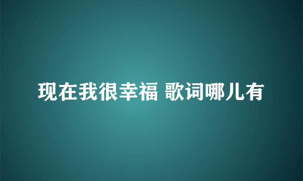 现在我很幸福 歌词哪儿有