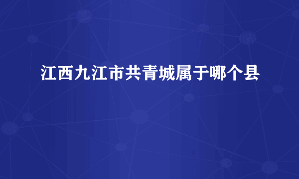 江西九江市共青城属于哪个县