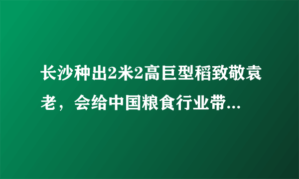 长沙种出2米2高巨型稻致敬袁老，会给中国粮食行业带来多大的贡献？