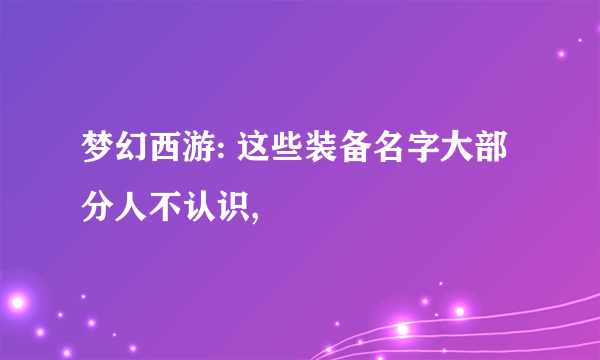 梦幻西游: 这些装备名字大部分人不认识,