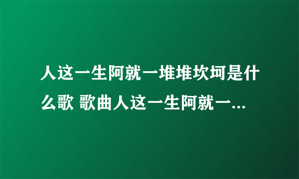 人这一生阿就一堆堆坎坷是什么歌 歌曲人这一生阿就一堆堆坎坷出自哪首歌