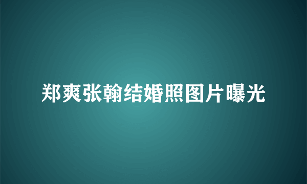 郑爽张翰结婚照图片曝光