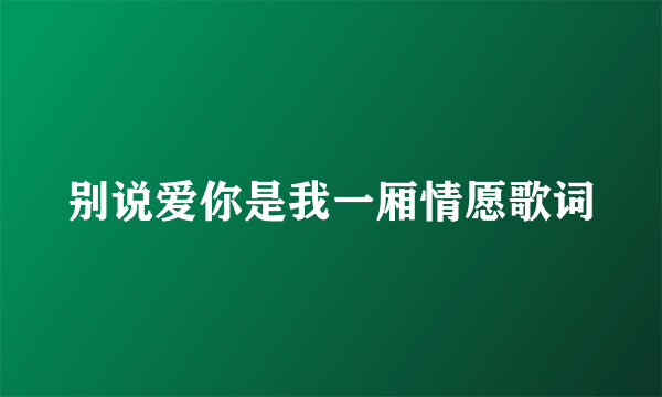 别说爱你是我一厢情愿歌词