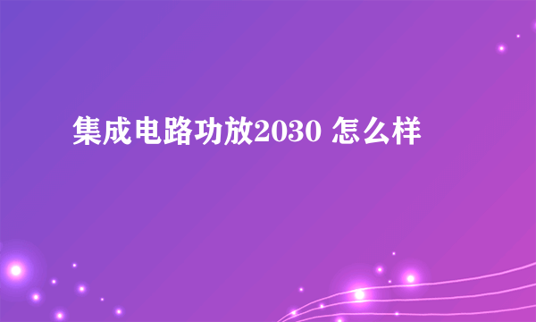 集成电路功放2030 怎么样