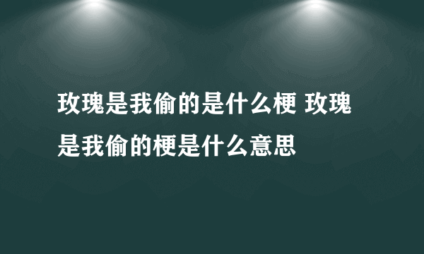 玫瑰是我偷的是什么梗 玫瑰是我偷的梗是什么意思