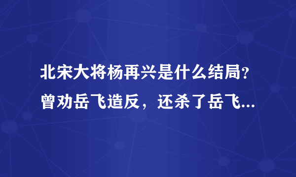 北宋大将杨再兴是什么结局？曾劝岳飞造反，还杀了岳飞的亲弟弟