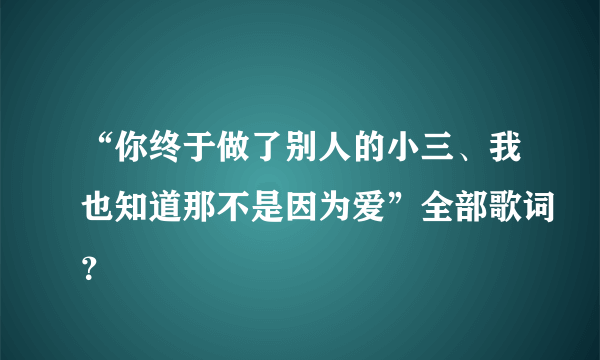 “你终于做了别人的小三、我也知道那不是因为爱”全部歌词？