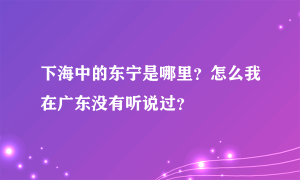 下海中的东宁是哪里？怎么我在广东没有听说过？